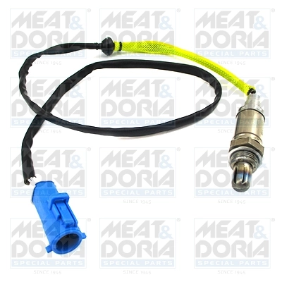 Oxygen Sensor
